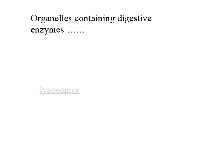Organelles containing digestive enzymes …… lysosomes 