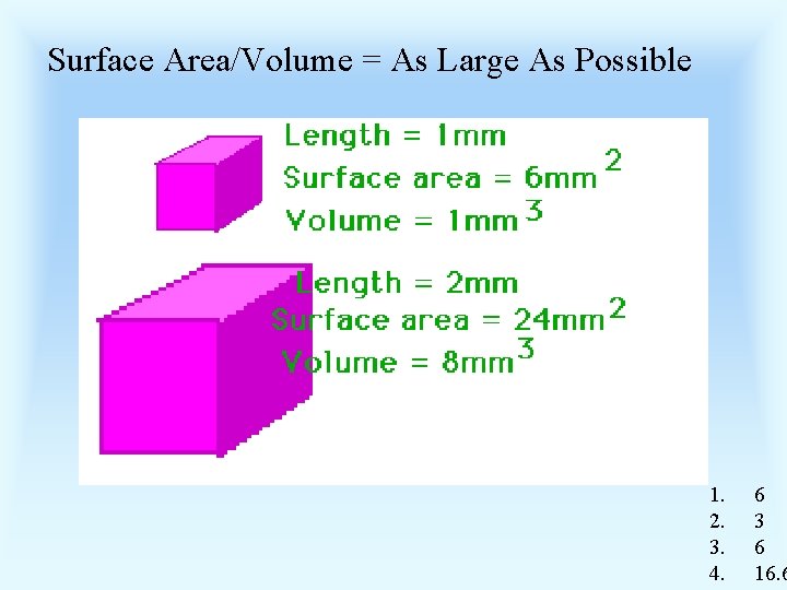 Surface Area/Volume = As Large As Possible 1. 2. 3. 4. 6 3 6