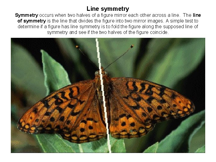 Line symmetry Symmetry occurs when two halves of a figure mirror each other across