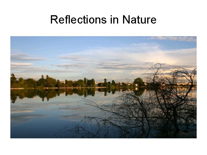 Reflections in Nature 