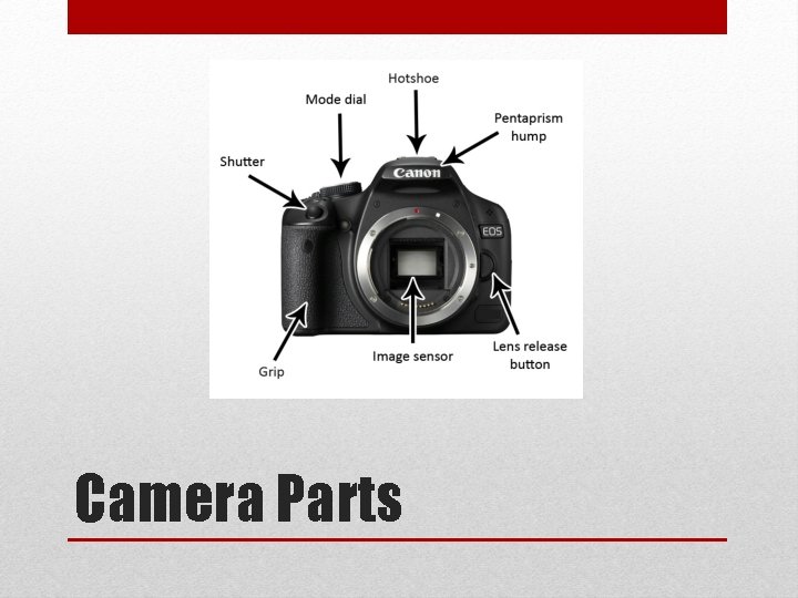 Camera Parts 