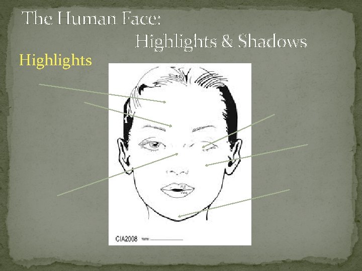 The Human Face: Highlights & Shadows Highlights 