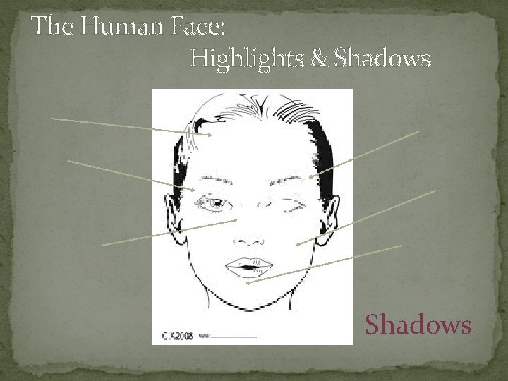 The Human Face: Highlights & Shadows 