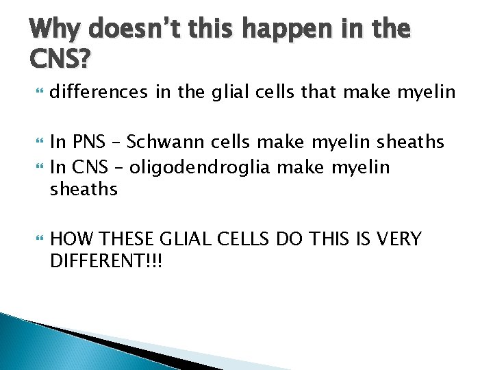 Why doesn’t this happen in the CNS? differences in the glial cells that make Why doesn’t this happen in the CNS? differences in the glial cells that make
