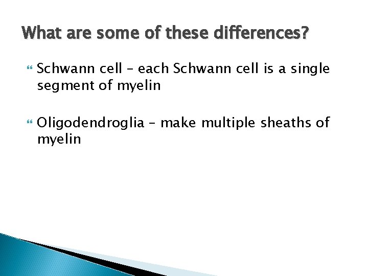 What are some of these differences? Schwann cell – each Schwann cell is a What are some of these differences? Schwann cell – each Schwann cell is a