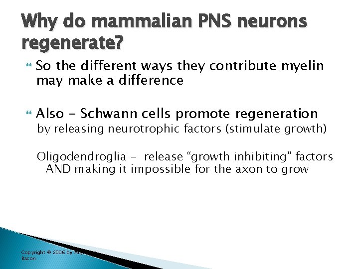 Why do mammalian PNS neurons regenerate? So the different ways they contribute myelin may Why do mammalian PNS neurons regenerate? So the different ways they contribute myelin may