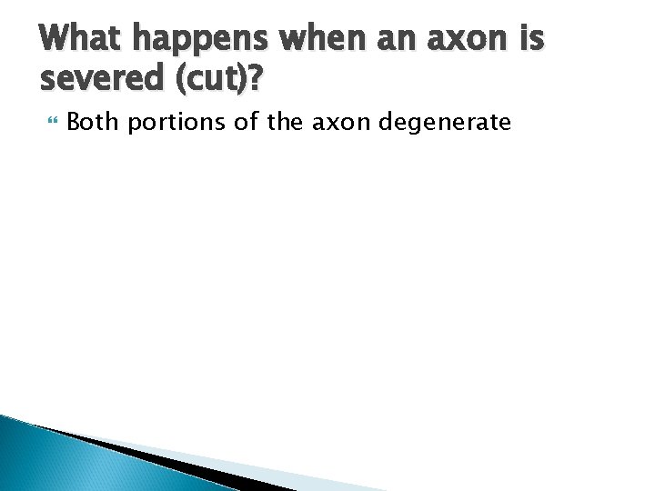 What happens when an axon is severed (cut)? Both portions of the axon degenerate What happens when an axon is severed (cut)? Both portions of the axon degenerate