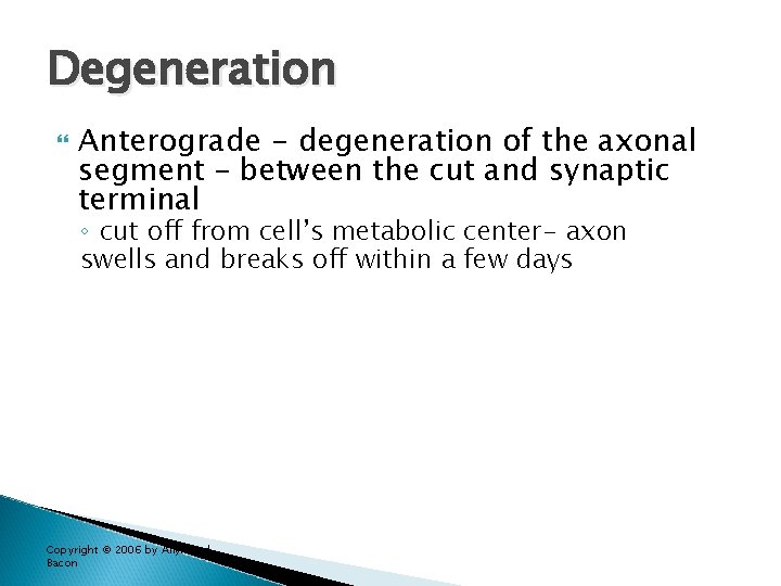 Degeneration Anterograde - degeneration of the axonal segment – between the cut and synaptic Degeneration Anterograde - degeneration of the axonal segment – between the cut and synaptic