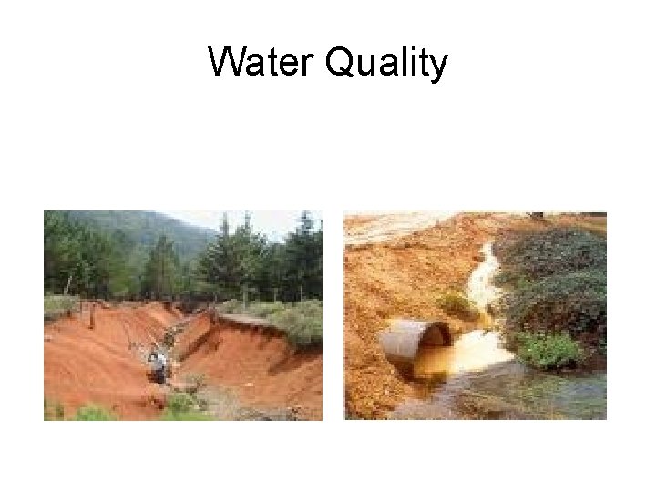 Water Quality 