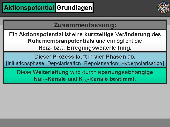 Aktionspotential Grundlagen Zusammenfassung: Ein Aktionspotential ist eine kurzzeitige Veränderung des Ruhemembranpotentials und ermöglicht die