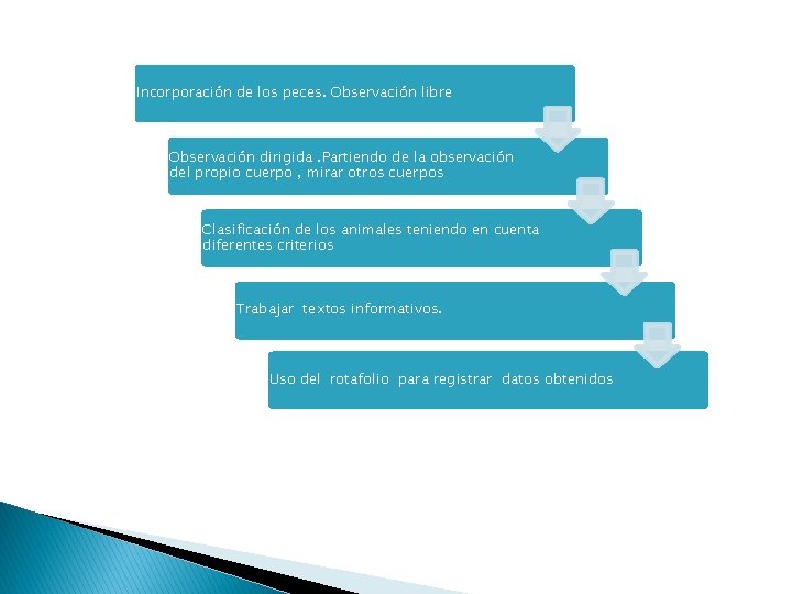 Incorporación de los peces. Observación libre Observación dirigida. Partiendo de la observación del propio Incorporación de los peces. Observación libre Observación dirigida. Partiendo de la observación del propio