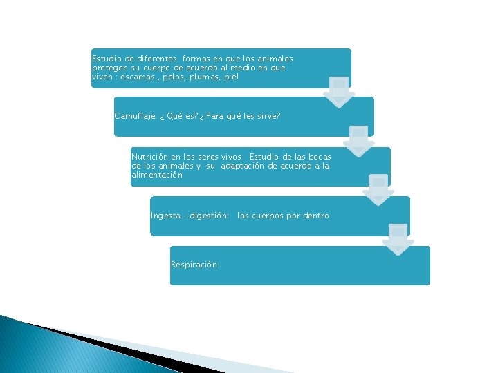 Estudio de diferentes formas en que los animales protegen su cuerpo de acuerdo al Estudio de diferentes formas en que los animales protegen su cuerpo de acuerdo al