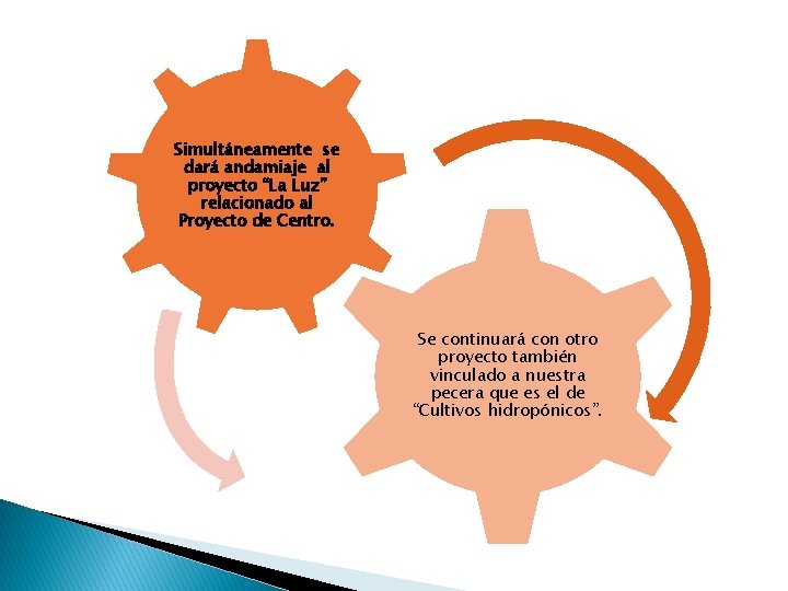 Simultáneamente se dará andamiaje al proyecto “La Luz” relacionado al Proyecto de Centro. Se Simultáneamente se dará andamiaje al proyecto “La Luz” relacionado al Proyecto de Centro. Se