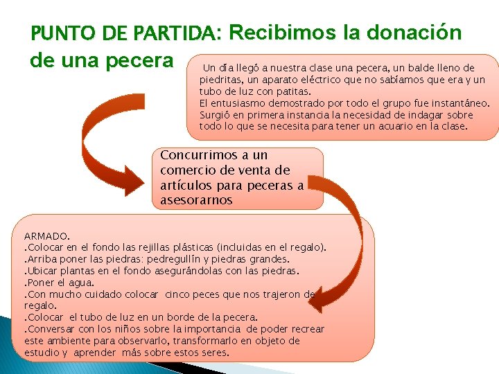 PUNTO DE PARTIDA: Recibimos la donación de una pecera Un día llegó a nuestra PUNTO DE PARTIDA: Recibimos la donación de una pecera Un día llegó a nuestra