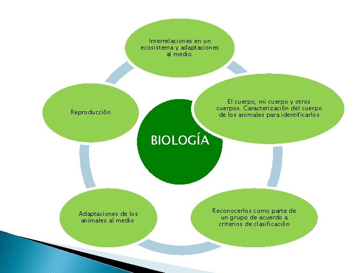 Interrelaciones en un ecosistema y adaptaciones al medio. El cuerpo, mi cuerpo y otros Interrelaciones en un ecosistema y adaptaciones al medio. El cuerpo, mi cuerpo y otros