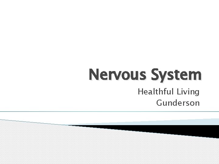 Nervous System Healthful Living Gunderson 