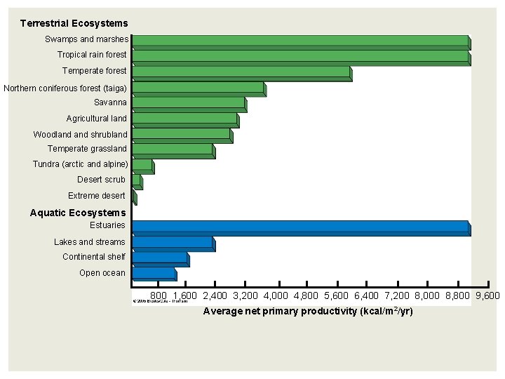 Terrestrial Ecosystems Swamps and marshes Tropical rain forest Temperate forest Northern coniferous forest (taiga)