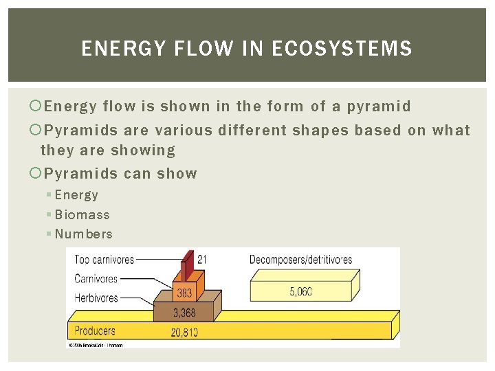 ENERGY FLOW IN ECOSYSTEMS Energy flow is shown in the form of a pyramid