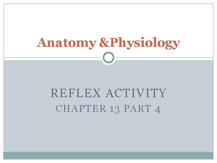 Anatomy &Physiology REFLEX ACTIVITY CHAPTER 13 PART 4 