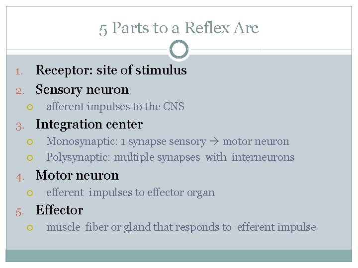 5 Parts to a Reflex Arc Receptor: site of stimulus 2. Sensory neuron 1.