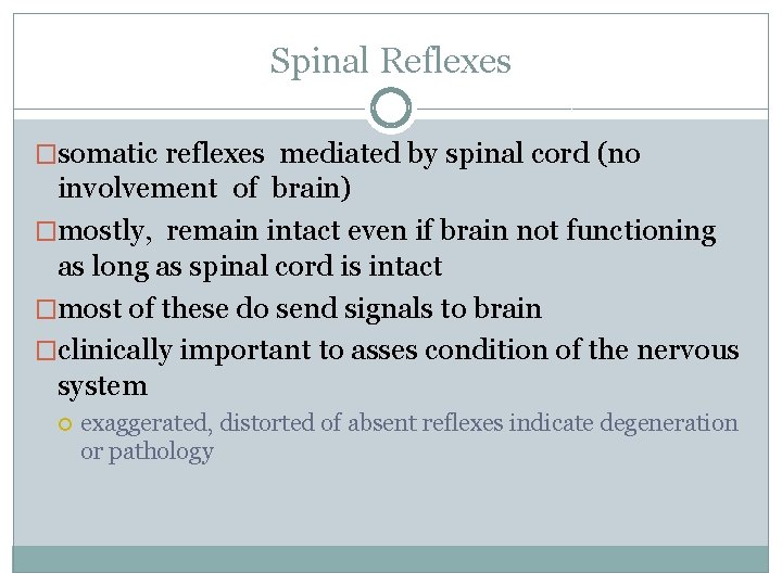 Spinal Reflexes �somatic reflexes mediated by spinal cord (no involvement of brain) �mostly, remain
