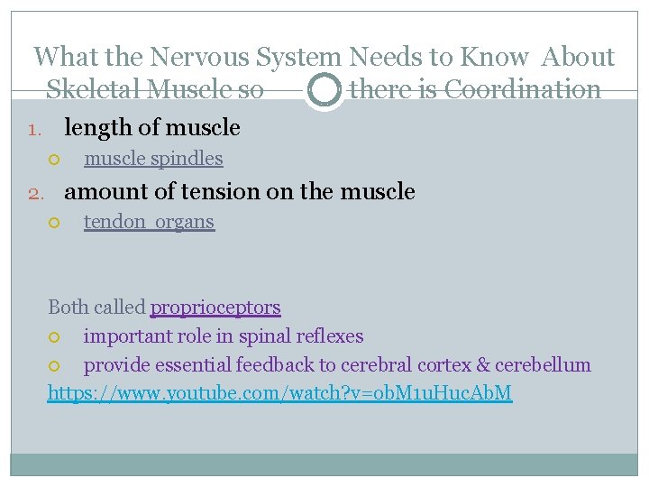 What the Nervous System Needs to Know About Skeletal Muscle so there is Coordination