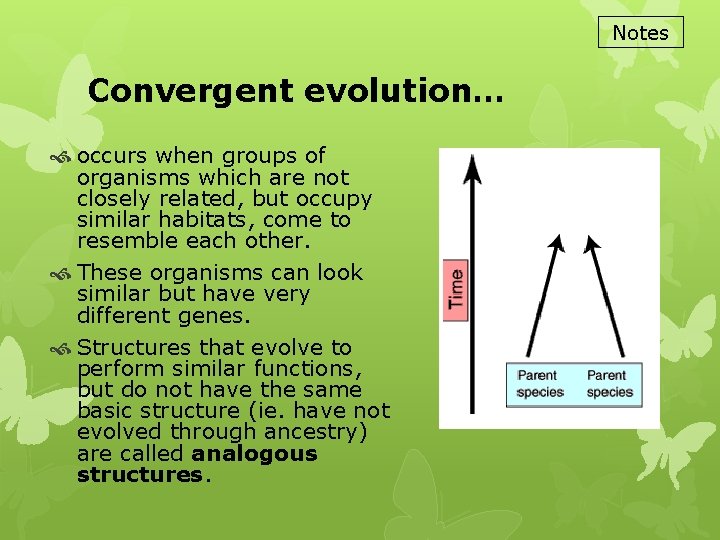 Notes Convergent evolution… occurs when groups of organisms which are not closely related, but