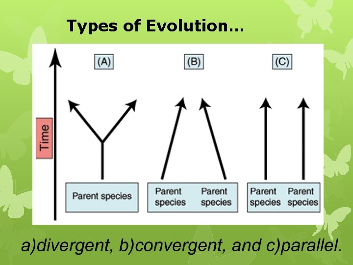 Types of Evolution… 