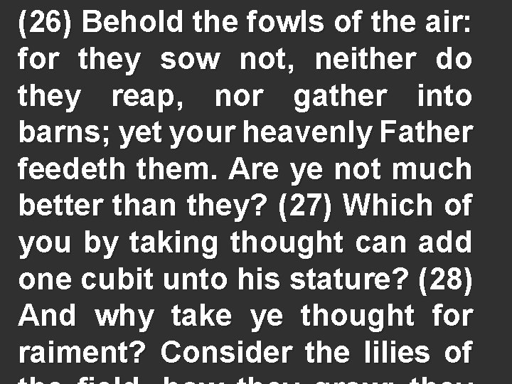 (26) Behold the fowls of the air: for they sow not, neither do they