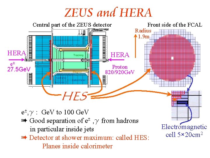 ZEUS and HERA Central part of the ZEUS detector HERA Front side of the