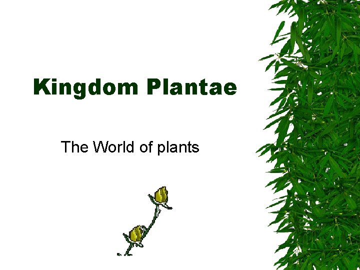 Kingdom Plantae The World of plants Kingdom Plantae The World of plants