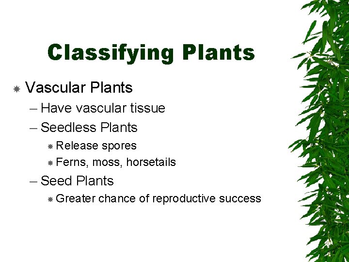 Classifying Plants Vascular Plants – Have vascular tissue – Seedless Plants Release spores Ferns, Classifying Plants Vascular Plants – Have vascular tissue – Seedless Plants Release spores Ferns,