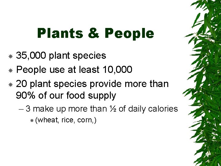 Plants & People 35, 000 plant species People use at least 10, 000 20 Plants & People 35, 000 plant species People use at least 10, 000 20