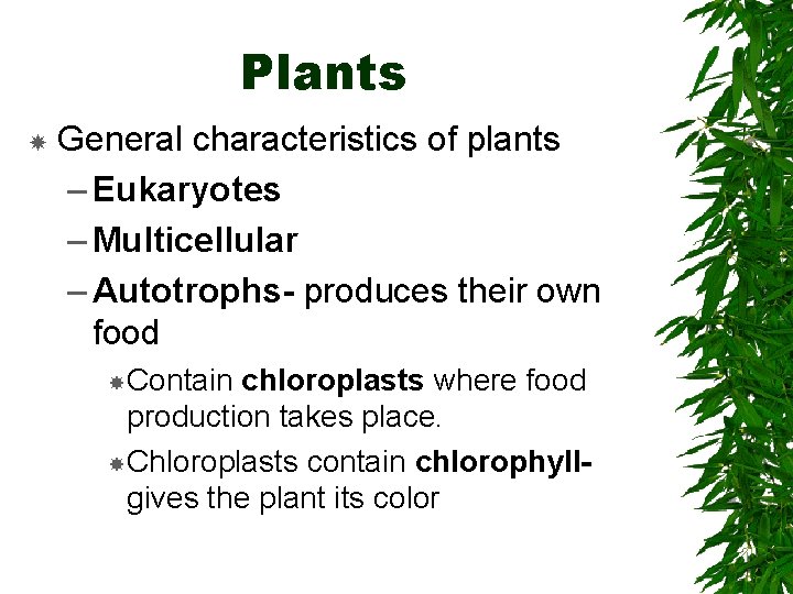 Plants General characteristics of plants – Eukaryotes – Multicellular – Autotrophs- produces their own