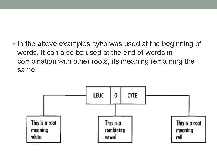  • In the above examples cyt/o was used at the beginning of words.