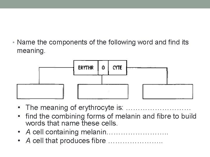  • Name the components of the following word and find its meaning. •