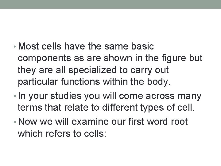  • Most cells have the same basic components as are shown in the