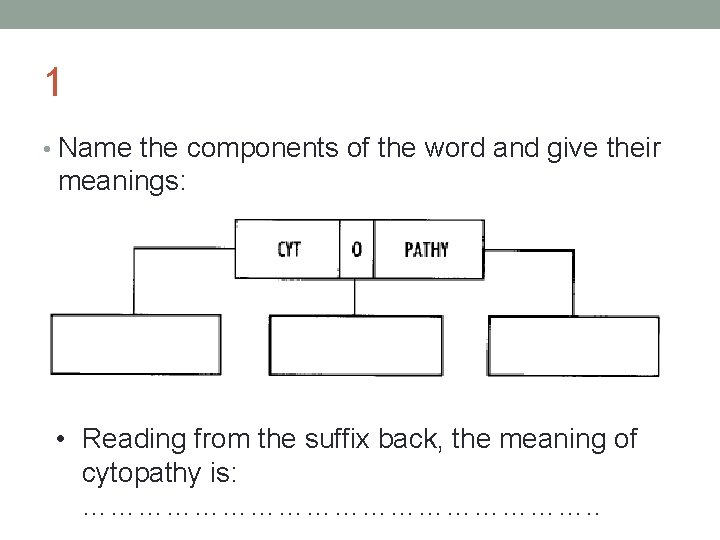 1 • Name the components of the word and give their meanings: • Reading
