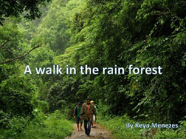 FOREST DEFORESTATION A walk in the rain forest By Keya Menezes 