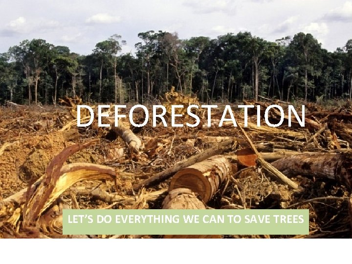 DEFORESTATION LET’S DO EVERYTHING WE CAN TO SAVE TREES 