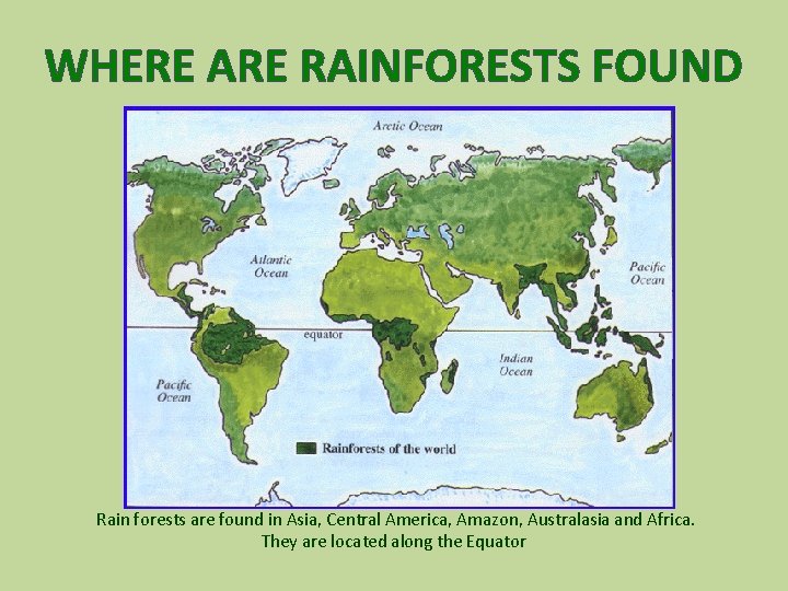 WHERE ARE RAINFORESTS FOUND Rain forests are found in Asia, Central America, Amazon, Australasia