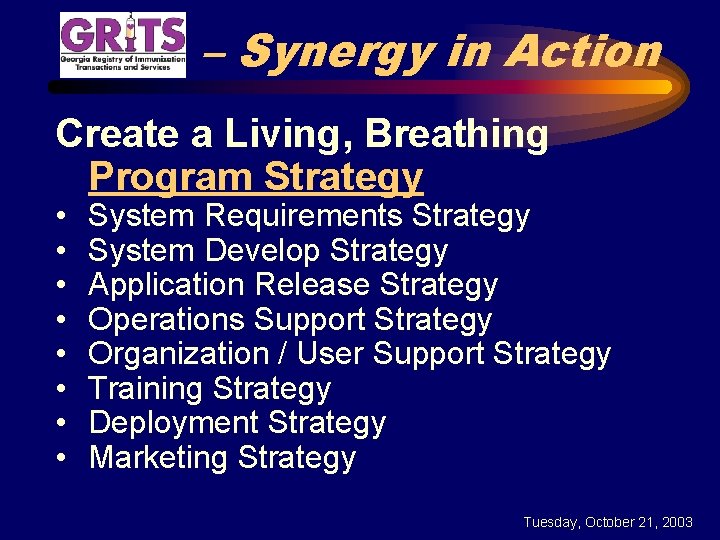 – Synergy in Action Create a Living, Breathing Program Strategy • • System Requirements