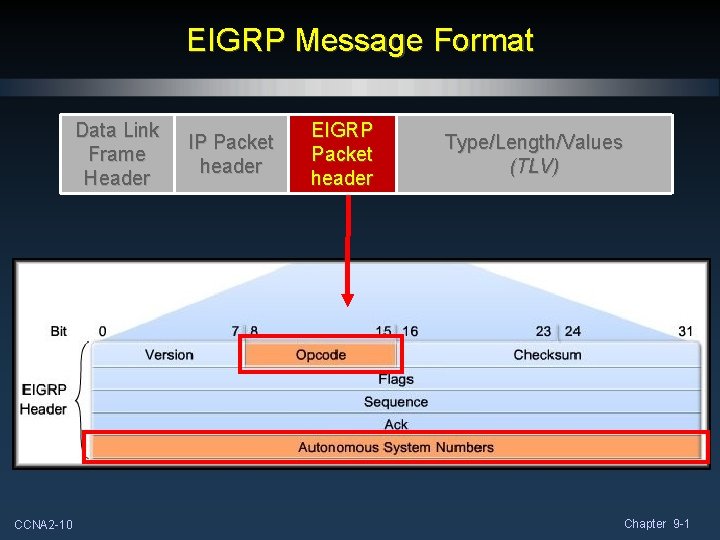 EIGRP Message Format Data Link Frame Header CCNA 2 -10 IP Packet header EIGRP