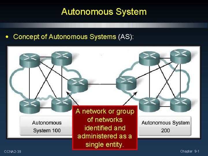 Autonomous System • Concept of Autonomous Systems (AS): A network or group of networks