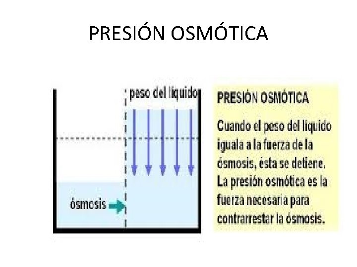 PRESIÓN OSMÓTICA 