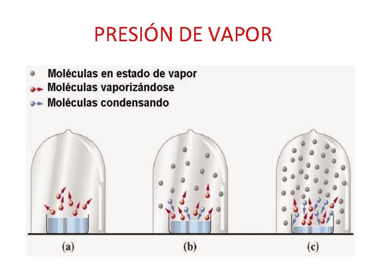 PRESIÓN DE VAPOR 