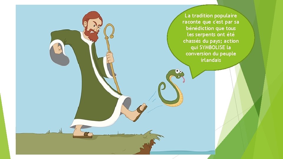 La tradition populaire raconte que c'est par sa bénédiction que tous les serpents ont