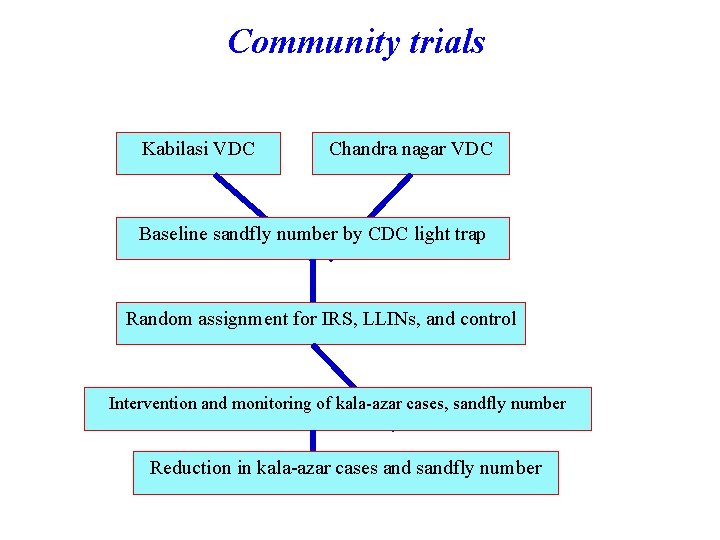 Community trials Kabilasi VDC Chandra nagar VDC Baseline sandfly number by CDC light trap