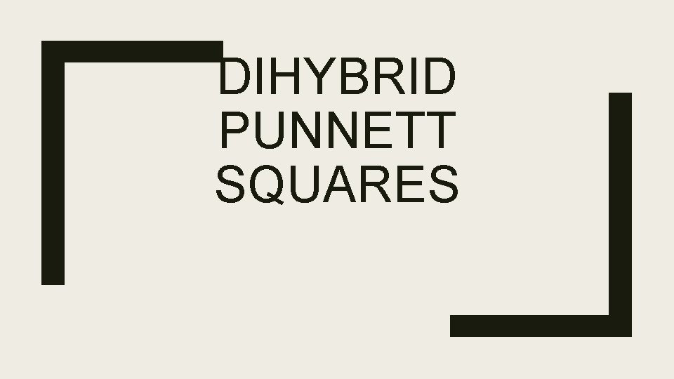 DIHYBRID PUNNETT SQUARES 