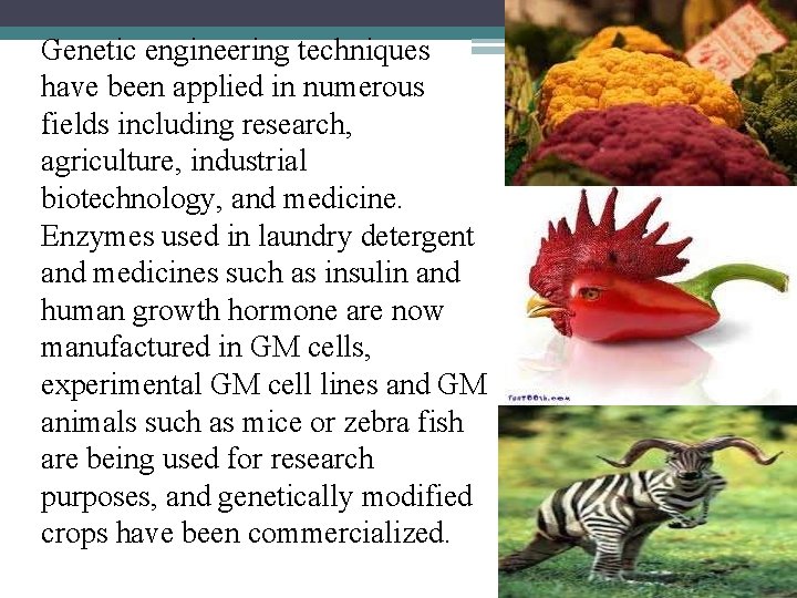 Genetic engineering techniques have been applied in numerous fields including research, agriculture, industrial biotechnology,